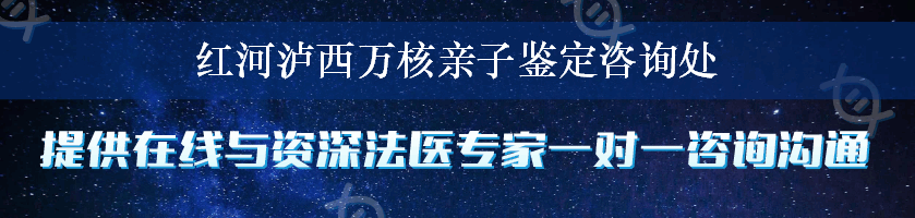 红河泸西万核亲子鉴定咨询处